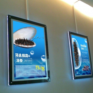 _(ti)õďV湫˾_(d)ĠI(yng)NĿ(bio)(_(ti)V棬ṩ(chung)?tng)I(yng)NQ